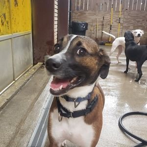 Meet your Posher, Rich